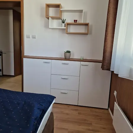 Apartment Tameli Delux